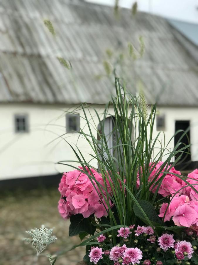 Landligt Ophold Pa Midtgard Apartamento Vamdrup Exterior foto